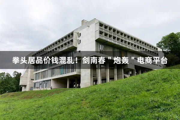 拳头居品价钱混乱！剑南春＂炮轰＂电商平台
