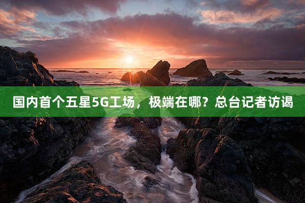 国内首个五星5G工场，极端在哪？总台记者访谒