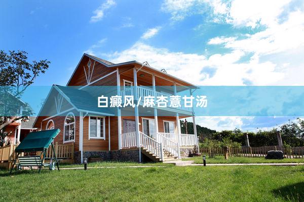 白癜风/麻杏薏甘汤