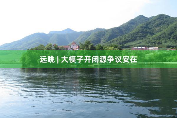 远眺 | 大模子开闭源争议安在