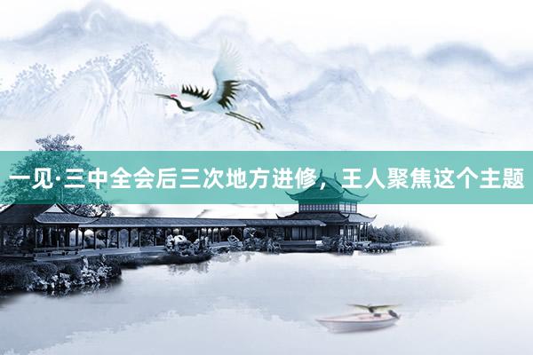 一见·三中全会后三次地方进修，王人聚焦这个主题