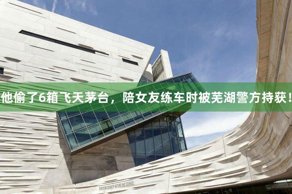 他偷了6箱飞天茅台，陪女友练车时被芜湖警方持获！