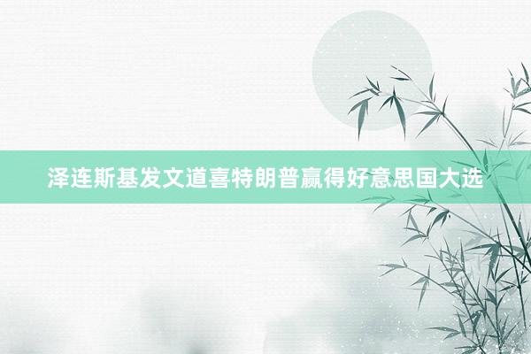 泽连斯基发文道喜特朗普赢得好意思国大选
