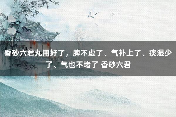香砂六君丸用好了，脾不虚了、气补上了、痰湿少了、气也不堵了 香砂六君