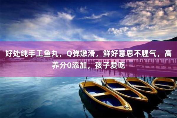 好处纯手工鱼丸，Q弹嫩滑，鲜好意思不腥气，高养分0添加，孩子爱吃