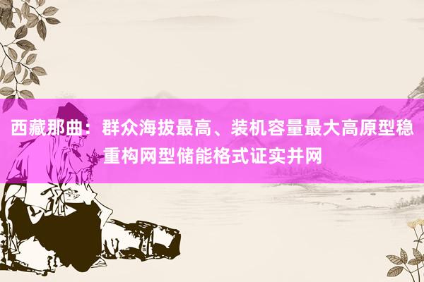 西藏那曲：群众海拔最高、装机容量最大高原型稳重构网型储能格式证实并网