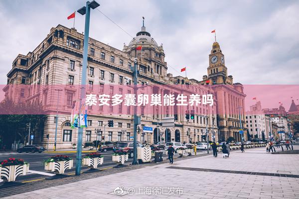 泰安多囊卵巢能生养吗