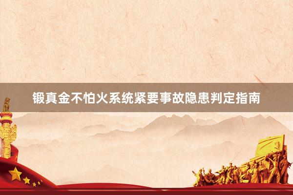 锻真金不怕火系统紧要事故隐患判定指南
