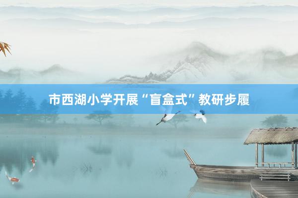 市西湖小学开展“盲盒式”教研步履