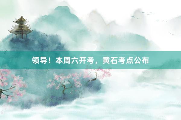 领导！本周六开考，黄石考点公布