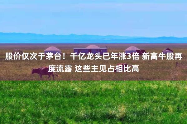 股价仅次于茅台！千亿龙头已年涨3倍 新高牛股再度流露 这些主见占相比高
