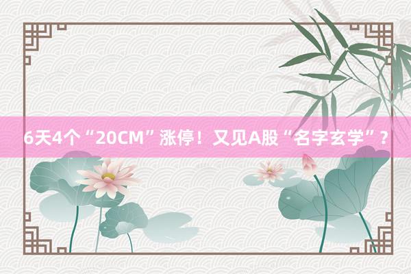 6天4个“20CM”涨停！又见A股“名字玄学”？