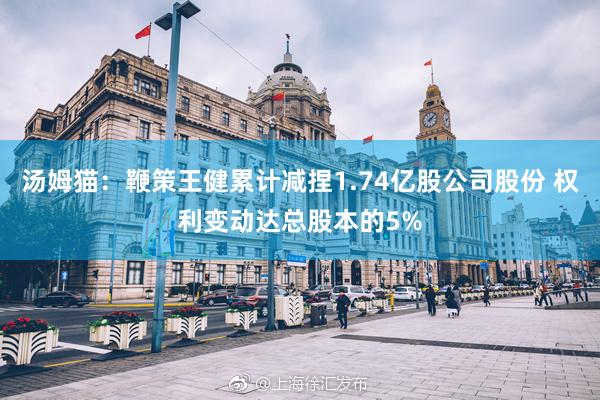 汤姆猫：鞭策王健累计减捏1.74亿股公司股份 权利变动达总股本的5%