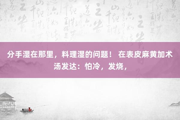 分手湿在那里,料理湿的问题! 在表皮麻黄加术汤发达:怕冷,发烧,