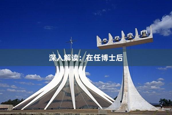 深入解读：在任博士后