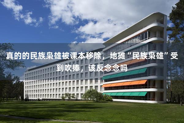 真的的民族枭雄被课本移除，地摊“民族枭雄”受到吹捧，该反念念吗
